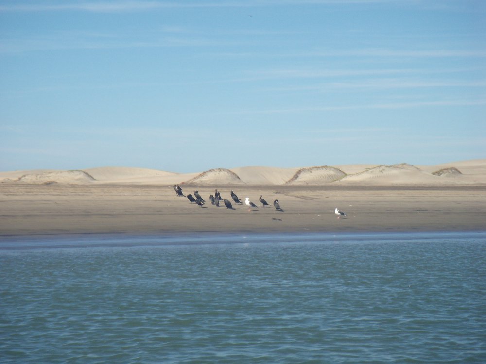 18-Puerto-Adolfo-Lopez-Mateos-Dunes